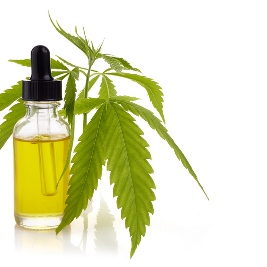 Hemp Seed Oil